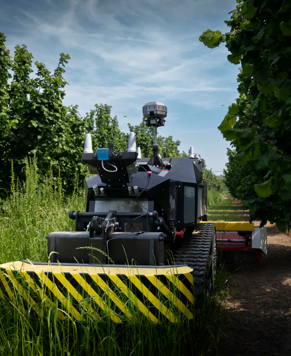 RC 3075 in sicurezza durante una lavorazione nel noccioleto