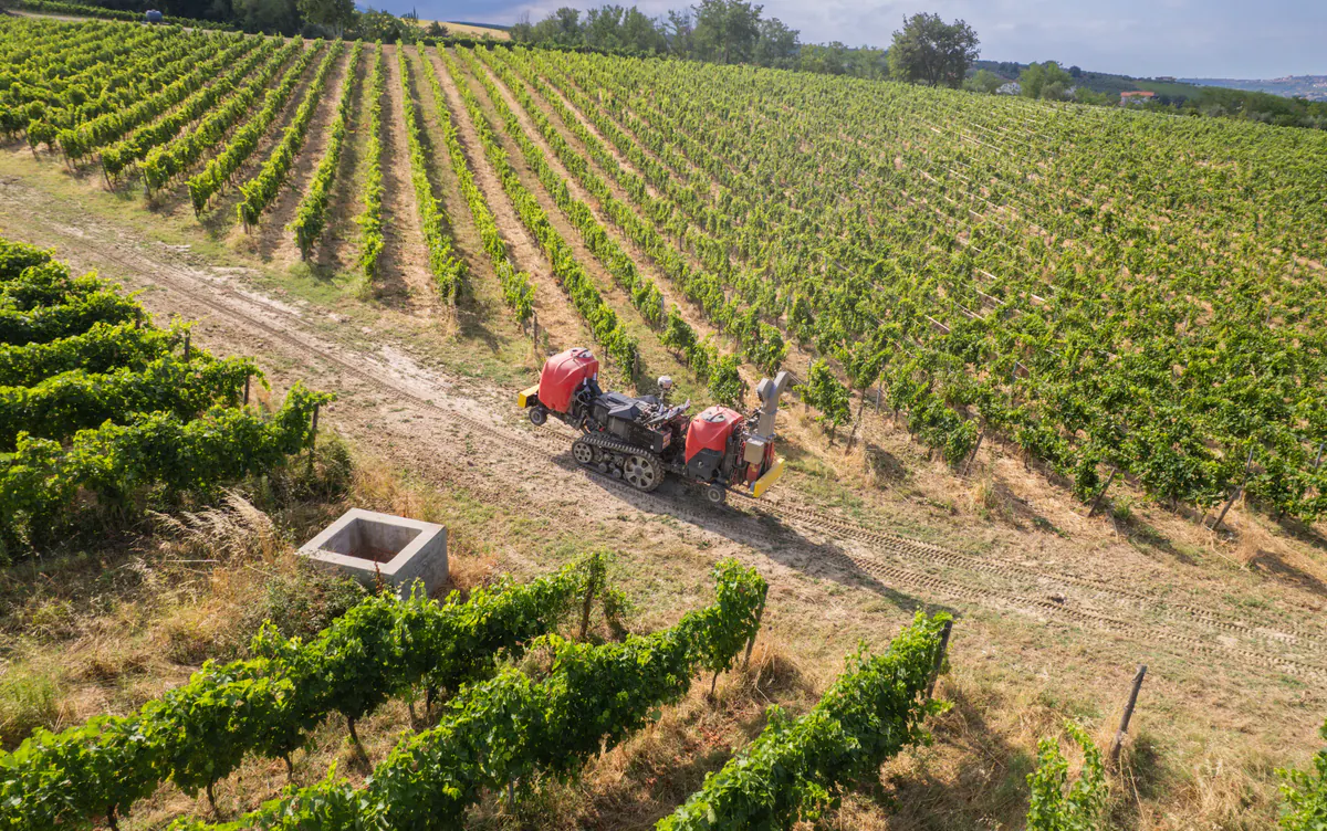 RC 3075 al lavoro tra i filari
