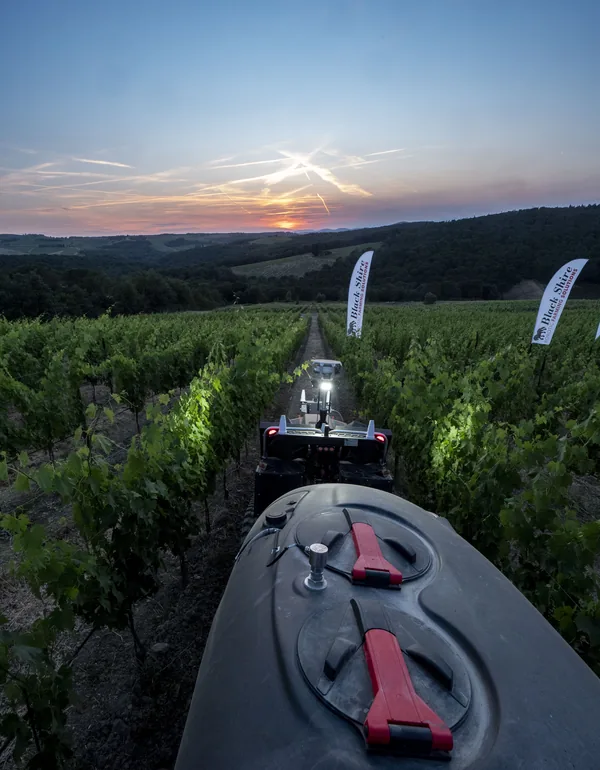RC 3075 tra i filari al tramonto