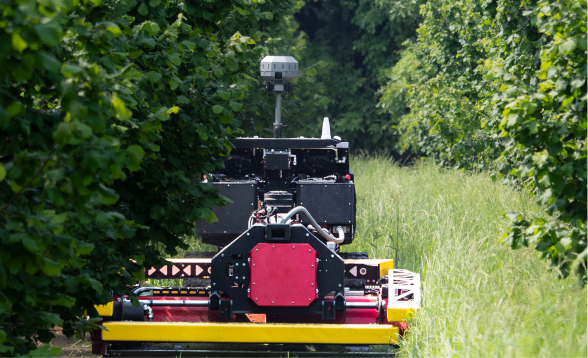 Esperienza in campo dell'Azienda Agricola Masciarelli